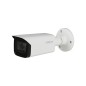 Kamera analogowa - HAC-HFW2501T-I8-A-0360B