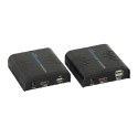 Konwerter HDMI na IP - H3613