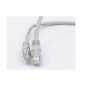 Patchcord kat.5e U/UTP - PC-5EUTPPVC-GY0.25