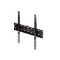 Uchwyt monitora -KL21G-44F