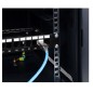 Wtyk RJ45 beznarzędziowy kat 6 - CCAS-RJ6-STP-TL
