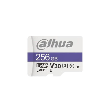 Karta pamięci TF-C100-256GB