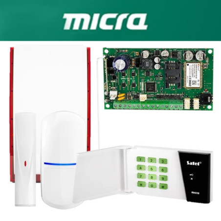 Micra